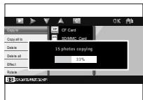 JOBO PDJ007 - Copier une ou toutes les photos depuis votre carte mèmemoire - 3