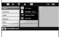 JOBO PDJ007 - Copier une ou toutes les photos depuis votre carte mèmemoire - 2