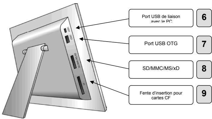 JOBO PDJ105 - Introduction : liaisons et boutons - 2
