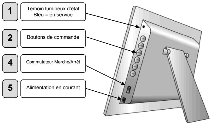 JOBO PDJ105 - Introduction : liaisons et boutons - 1
