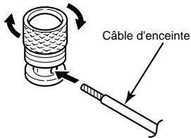 ECLIPSE 508PA - Bornes des sorties d'enceinte - 1