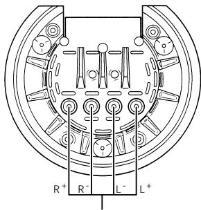 ECLIPSE 508PA - Bornes d'entrée des enceintes - 4