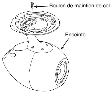 ECLIPSE CB1 - Conseil - 1