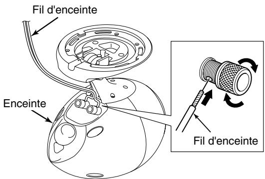 ECLIPSE CB1 - Conseil - 1