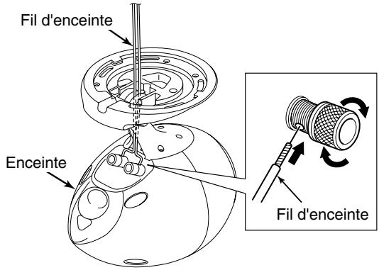 ECLIPSE CB1 - Conseil - 2