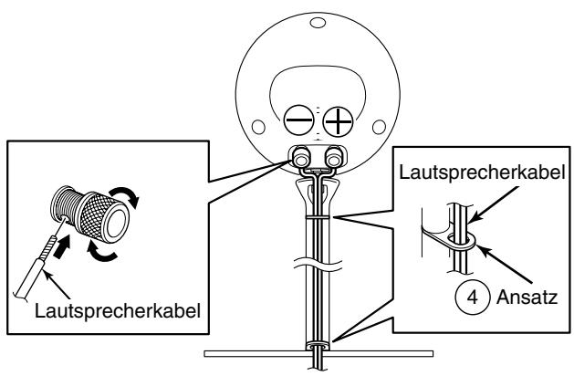 ECLIPSE D5II - Hinweis - 1