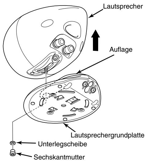 ECLIPSE D5II - Vorsicht - 1