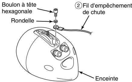 ECLIPSE TD307II - Precaution - 1
