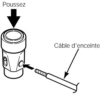 ECLIPSE 307 - Bornes d'entrée des enceintes - 1