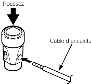 ECLIPSE 307 - Bornes des sorties d'enceinte - 1