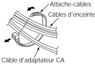ECLIPSE 307 - Acheminement des câbles d'enceinte - 1