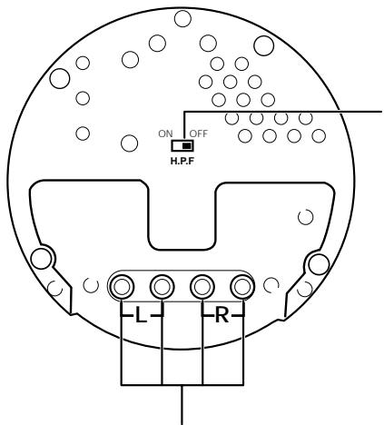 ECLIPSE 307 - Vue du fond de l'amplificateur - 1