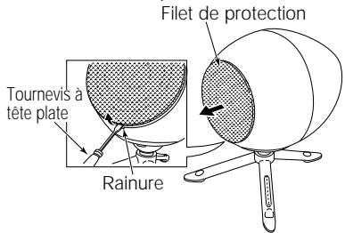 ECLIPSE 307 - Enlevement du filet de protection - 1