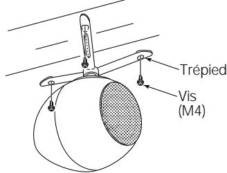 ECLIPSE 307 - Attention - 1