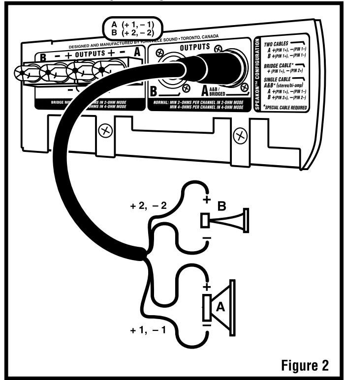 YORKVILLE AP800 - Specifications - 2