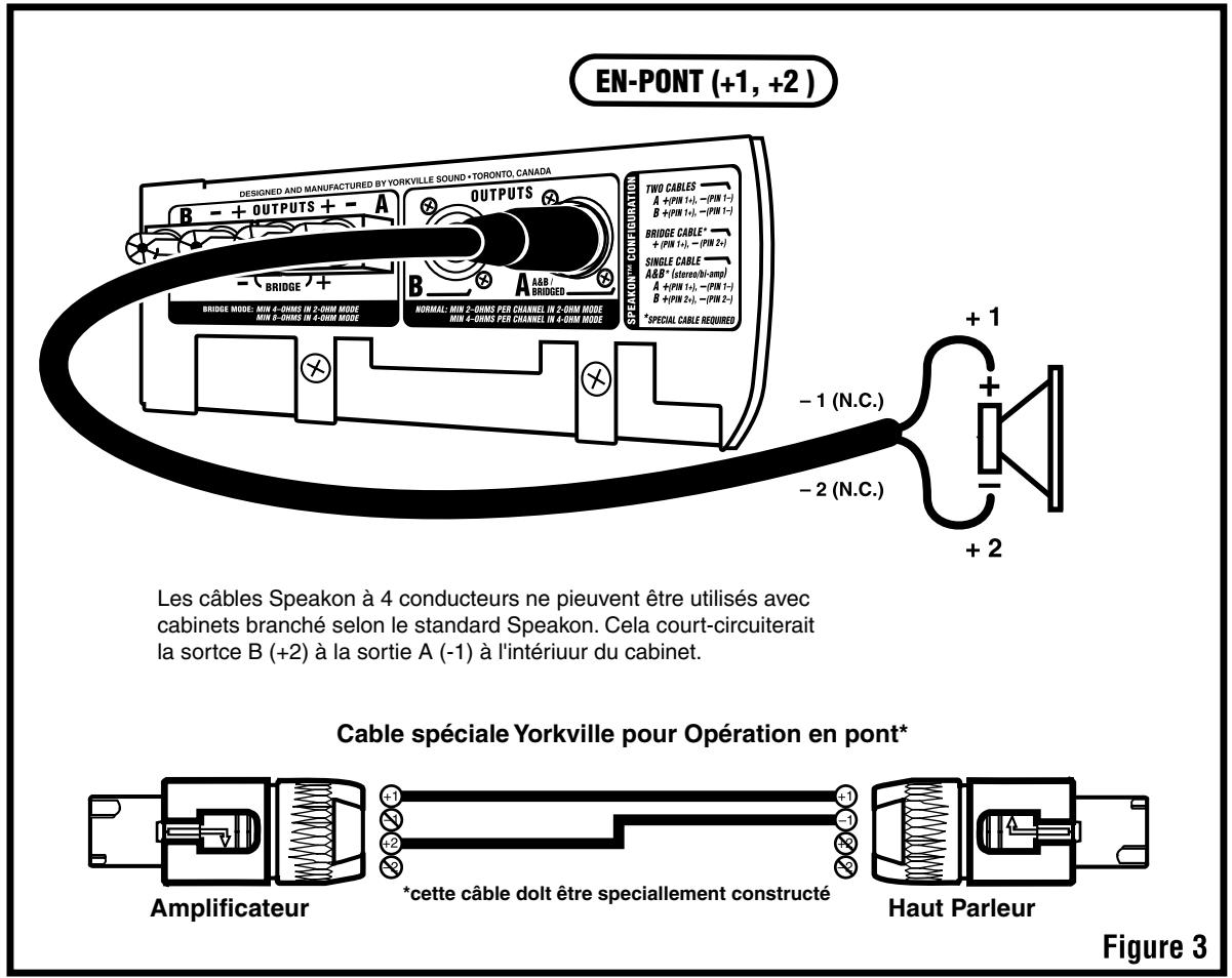 YORKVILLE AP800 - Introduction - 2
