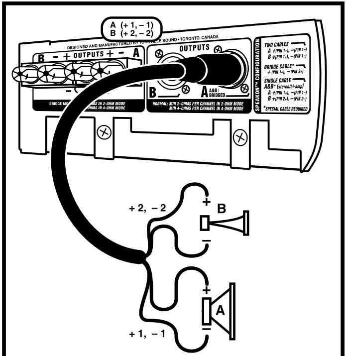YORKVILLE AP800 - Introduction - 1