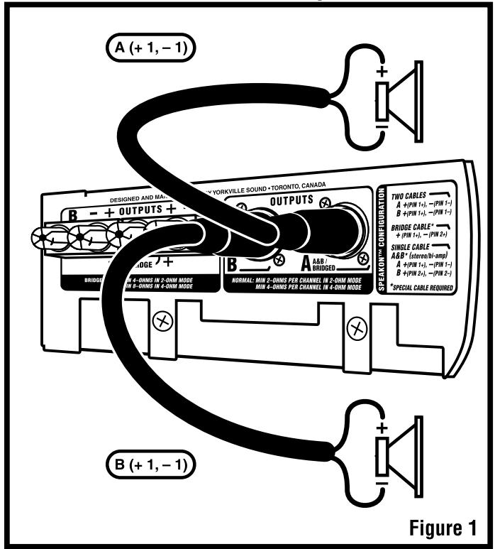 YORKVILLE AP800 - Specifications - 1