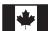 BOSTON ACOUSTICS HORIZON DUO - Canadian Users - 1