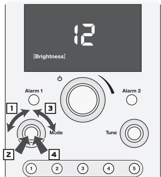 BOSTON ACOUSTICS HORIZON DUO-I PLUS - Ljusstyrkapadisplayen - 1