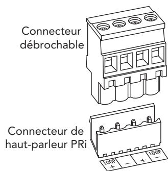 BOSTON ACOUSTICS PRI665CV - Polarité de raccordement des haut-parleurs - 1