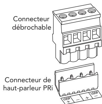 BOSTON ACOUSTICS PRI685CV - Polarité de raccordement des haut-parleurs - 1