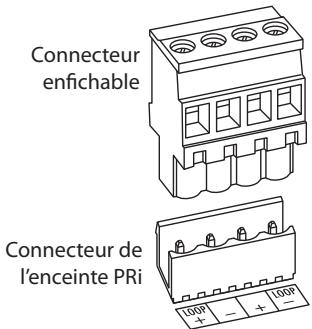 BOSTON ACOUSTICS PRI85SUB - Polarité des connexions de l'enceinte - 1