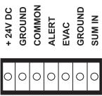 AUSTRALIAN MONITOR DIGIPAGE - ZONE Outputs (sorties de ZONES) - 3