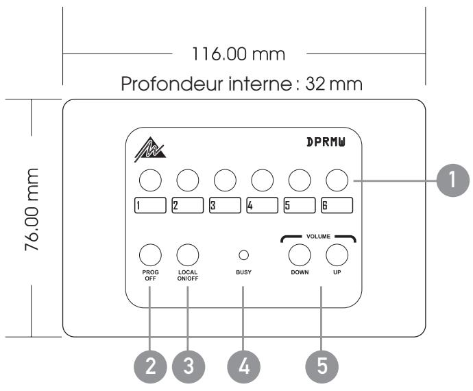 AUSTRALIAN MONITOR DIGIPAGE - TERMINALSON - 1