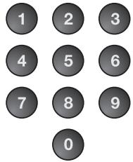 SYLVANIA LC225SSX - Use [the Number buttons] to enter the 4-digit numbers for your PIN Code. - 1