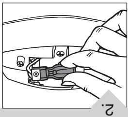 ROYAL MRY7500 - LIGHTBULB: REMOVAL & REPLACEMENT - 5