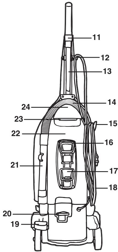 ROYAL MRY7500 - PARTE POSTERIOR - 1