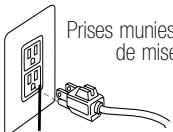 BISSELL PROHEAT 2X - INSTRUCTIONS DE MISE À LA TERRE - 1