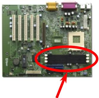 AOPEN AK33 - Socket DIMM - 1