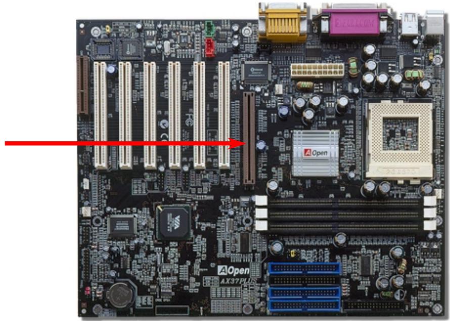 AOPEN AX37PRO - Slot AGP expandu (port graphique accéléré) - 2