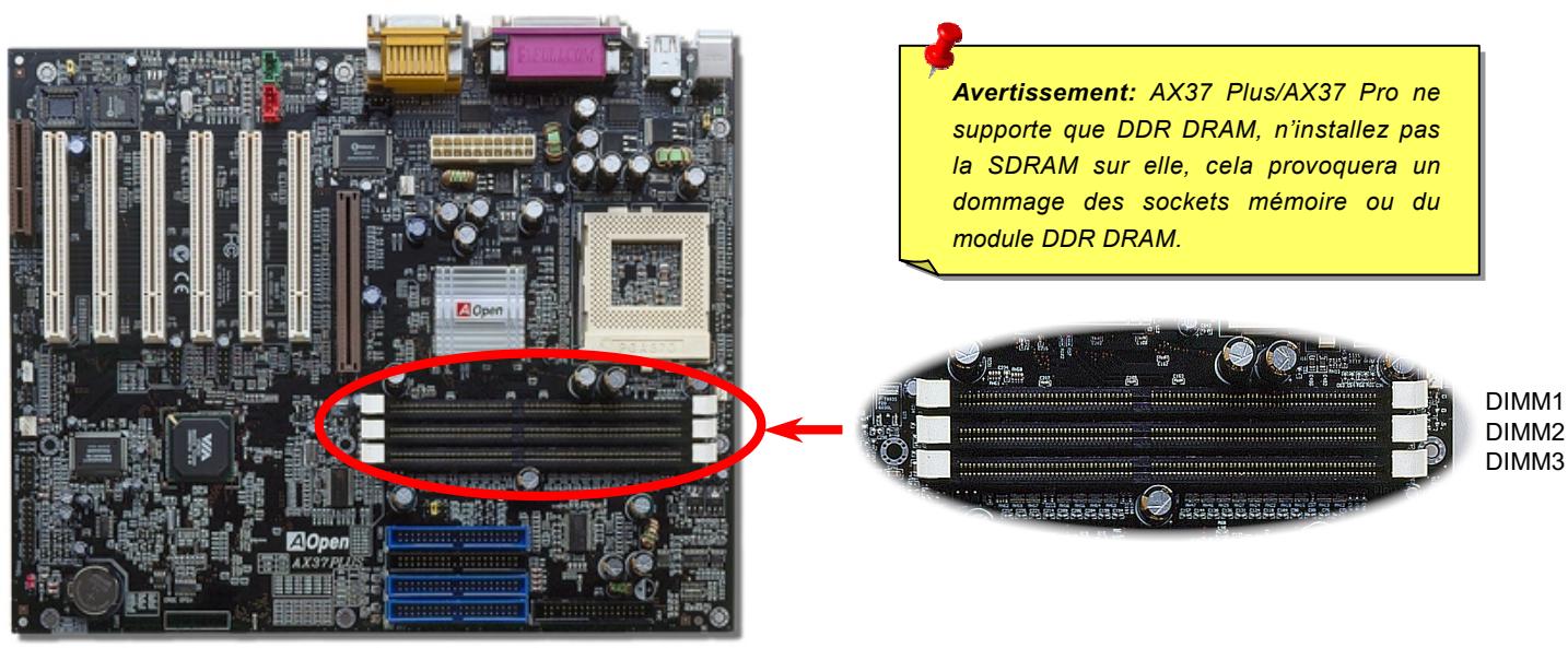 AOPEN AX37PRO - Socket DRAM - 1