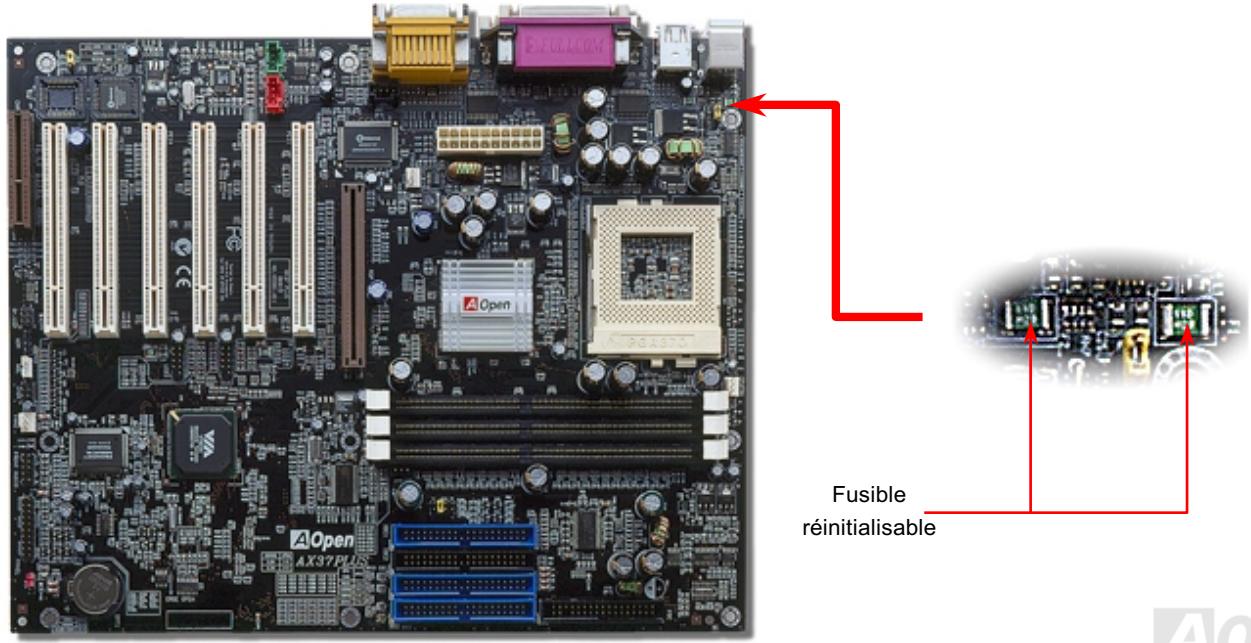 AOPEN AX37PRO - Fusible Réinitialisable - 1