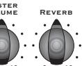 TRAYNOR YS1051 - Internal Speaker Defeat - 10