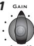 TRAYNOR YS1051 - Internal Speaker Defeat - 4