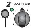 TRAYNOR YS1051 - Internal Speaker Defeat - 6