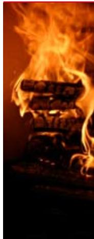 HANDOL H30 - Charge de bois - 2