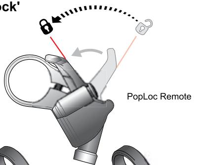 DAHON ARGYLE - 'Open' Compression (Fig. 1) - 8