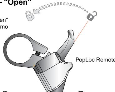 DAHON ARGYLE - SISTEMA DI SMORZAMENTO DEL CONTROLLO MOVIMENTO (Pike, Revelation, Reba, Domain 318IS, Argyle 318 &amp; 409) - 2