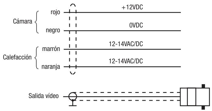 ENEO CANDID C-05 - Cables de Conexión - 1