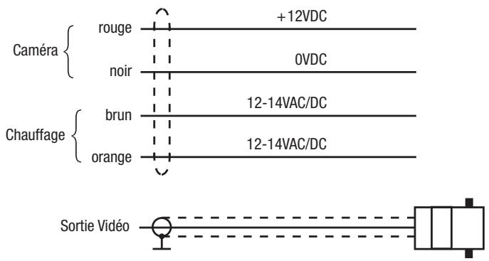 ENEO CANDID C-06 - Raccordements des câbles - 1