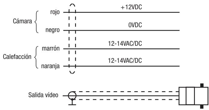 ENEO CANDID C-06 - Cables de Conexión - 1
