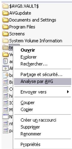 AVG 8.5 FILE SERVER EDITION - Analyse contextuelle - 1