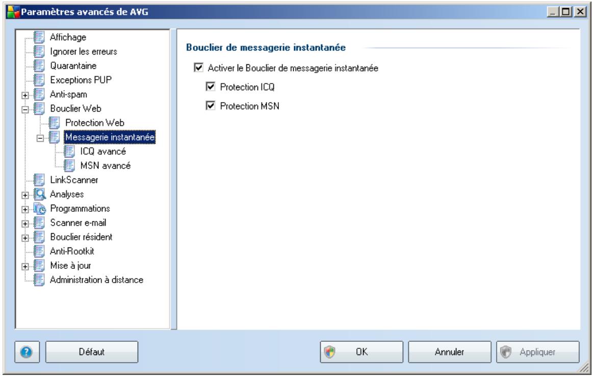 AVG 8.5 FILE SERVER EDITION - Messagerie instantanée - 1