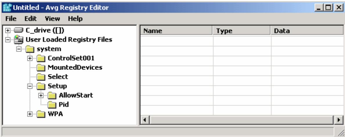 AVG RESCUE CD - AVG Registry editor - 3