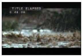 VIETA DVD-4 - Apagar la funciona Display - 2